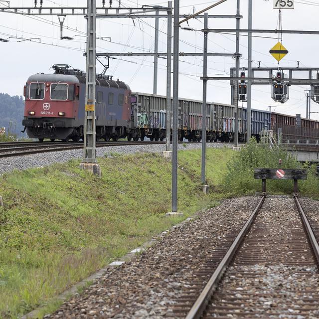 Un train de marchandises dans la région de Dietikon (ZH) en 2019. [Keystone - Gaetan Bally]