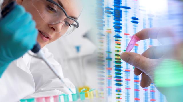 Les tests ADN remportent un grand succès et permettent désormais à chacun et chacune d'obtenir des informations sur ses origines. [AFP - Tek Image / Science Photo Library]