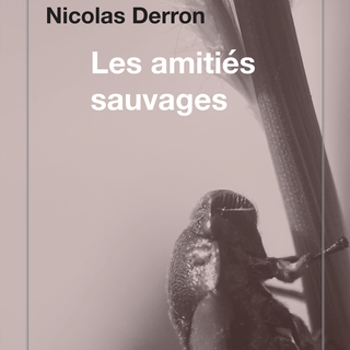 La pochette du livre de Nicolas Derron, "Les amitiés sauvages". [Torticolis et Frères]