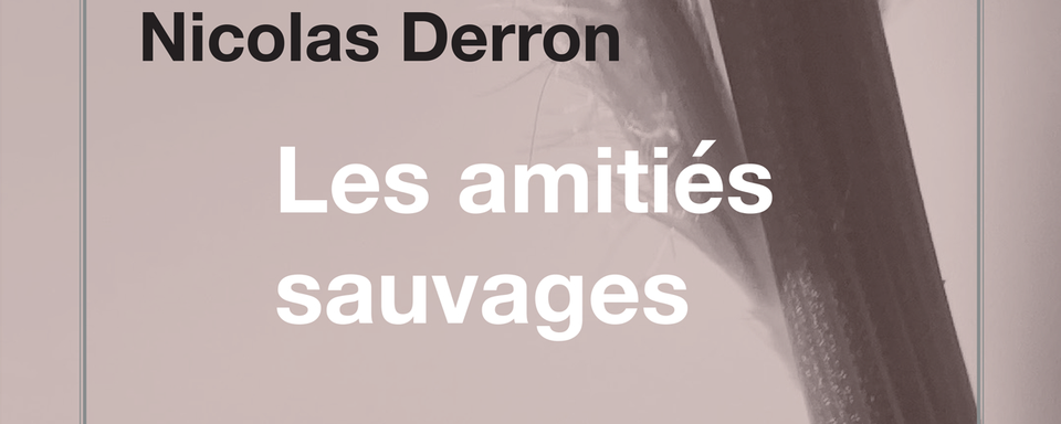 La pochette du livre de Nicolas Derron, "Les amitiés sauvages". [Torticolis et Frères]