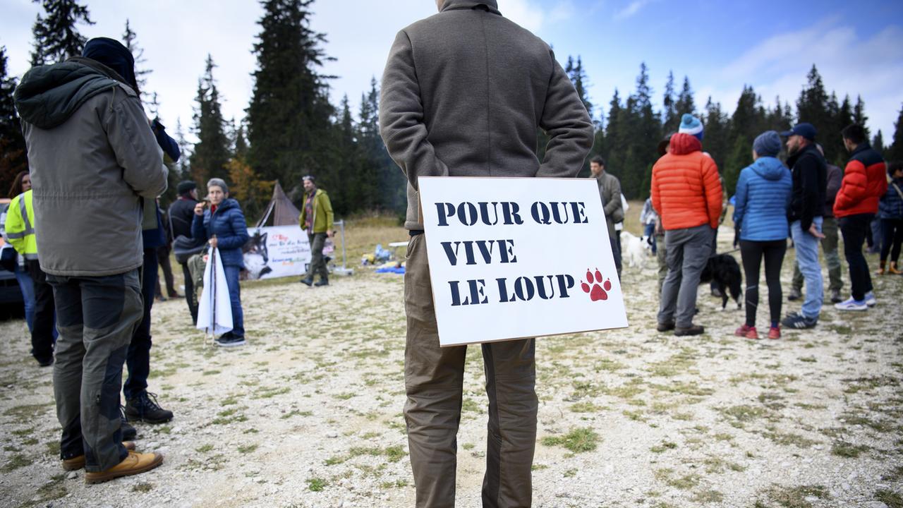 Une personne avec une pancarte "Pour que vive le loup" lors d'une manifestation contre le tir du loup. [Keystone - Laurent Gillieron]