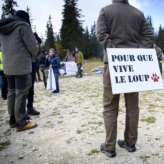Une personne avec une pancarte "Pour que vive le loup" lors d'une manifestation contre le tir du loup. [Keystone - Laurent Gillieron]