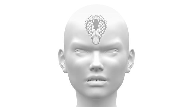 Le cerveau reptilien gèrerait nos comportements primaires comme manger, boire, se reproduire ou se mettre en colère.
decade3d/Digital-Clipart
Depositphotos [decade3d/Digital-Clipart]