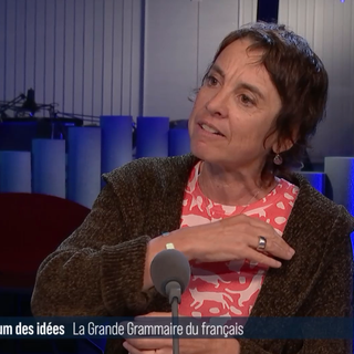 Interview de Corinne Rossari, professeure de linguistique française à l'Université de Neuchâtel. [RTS]