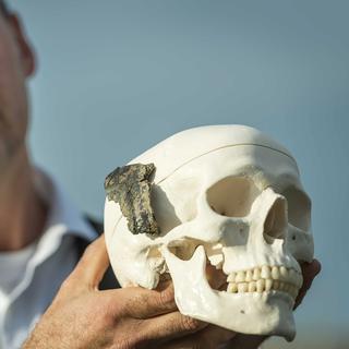 Un morceau de crâne d'homo sapiens vieux de 9600 ans. [Keystone - EPA/Lex van Lieshout]