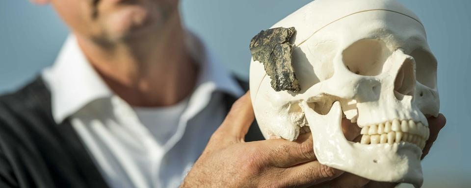 Un morceau de crâne d'homo sapiens vieux de 9600 ans. [Keystone - EPA/Lex van Lieshout]