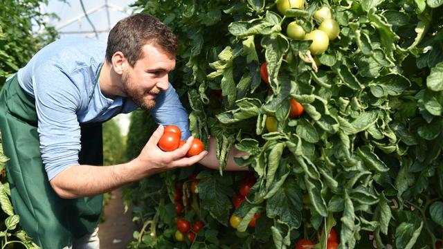 Les opposants etiment que le texte touchera particulièrement les jeunes agriculteurs. [Fotolia - industrieblick]