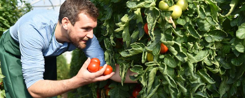 Les opposants etiment que le texte touchera particulièrement les jeunes agriculteurs. [Fotolia - industrieblick]