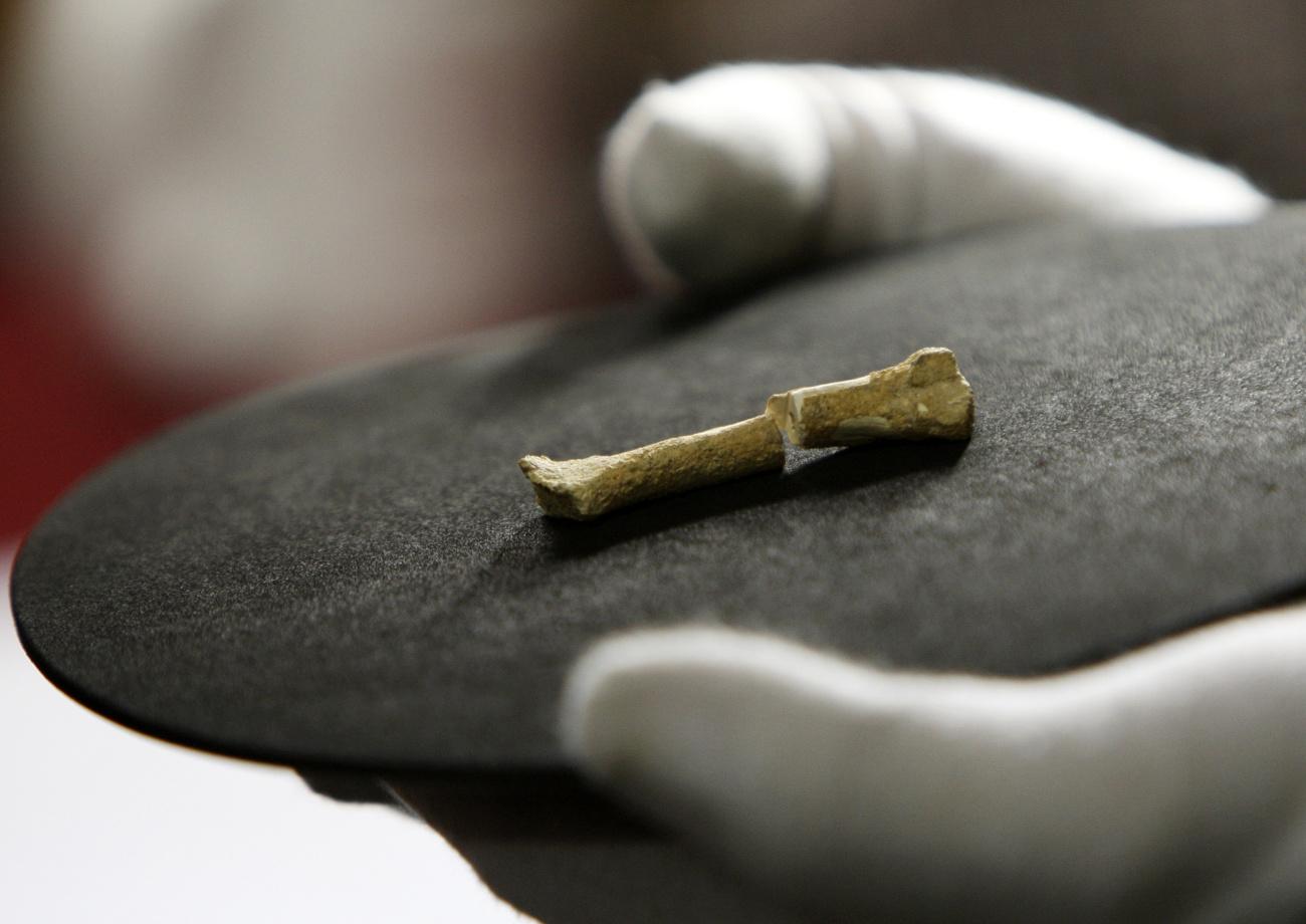 Un troisième métatarse droit, un os du pied, trouvé en 2007 dans la Grotte de Callao, aux Philippines. [Keystone/AP - Bullit Marquez]