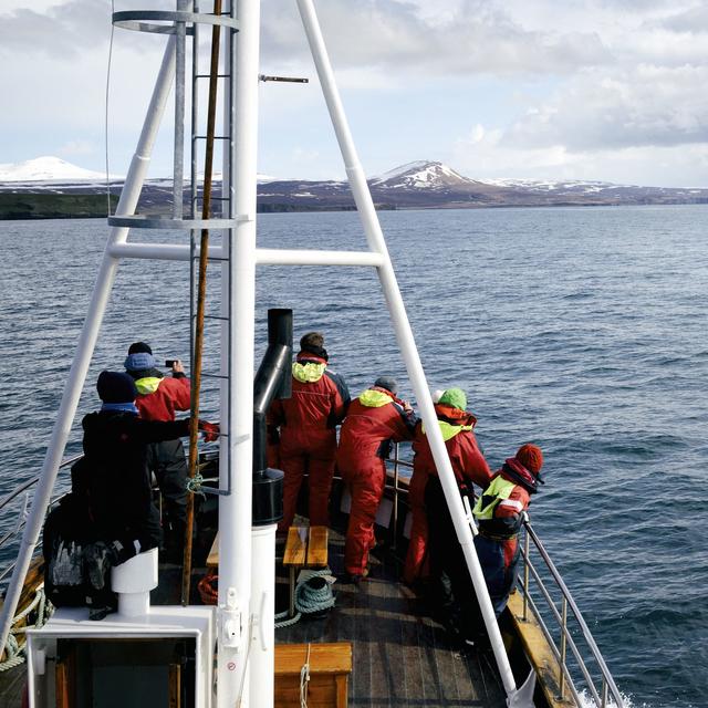 Au large de la côte nord de l'Islande, prendre un bateau pour tenter de voir les baleines est une activité très répandue. Une mission scientifique collecte le souffle de cétacés pour évaluer leur niveau de stress au passage des navires d'observation. [HEMIS VIA AFP - GARCIA JULIEN]