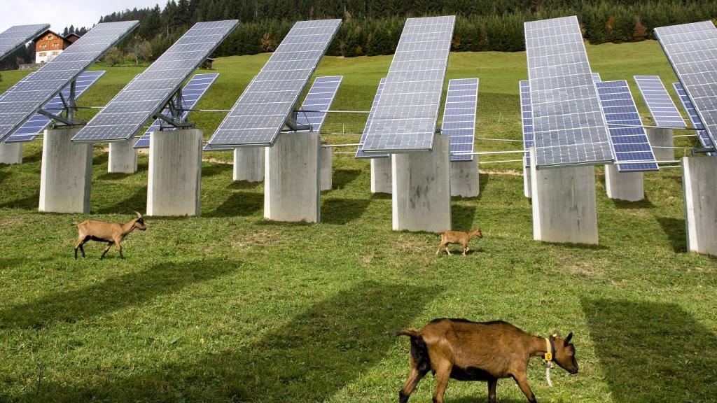 Installation solaire dans le Vorarlberg, en Autriche. [AFP/Aurimages - Philippe Roy]