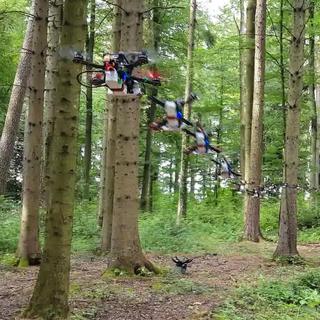 Le drone autonome navigue à 40 km/h à travers la forêt.
UZH [UZH]