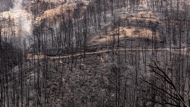 Eco-anxiété: quand la crise climatique fait fondre le moral. [AFP - Dominika Zarzycka/NurPhoto]