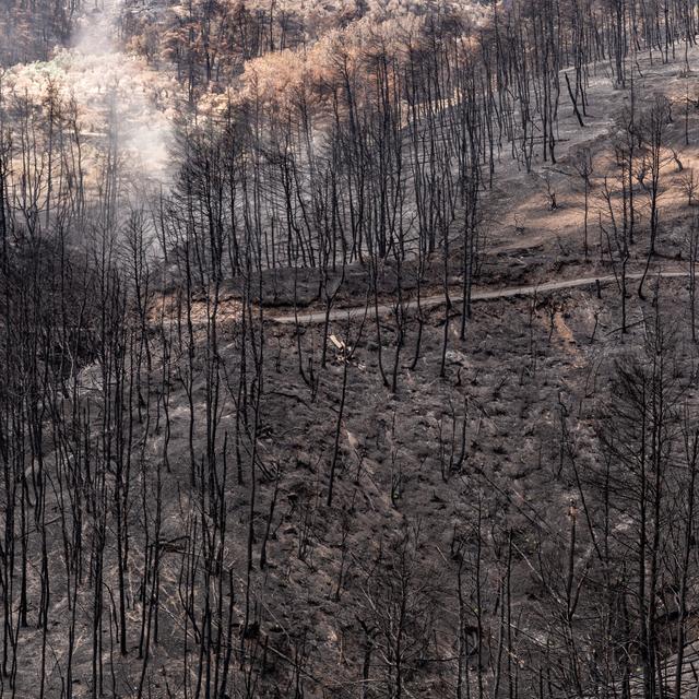 Eco-anxiété: quand la crise climatique fait fondre le moral. [AFP - Dominika Zarzycka/NurPhoto]