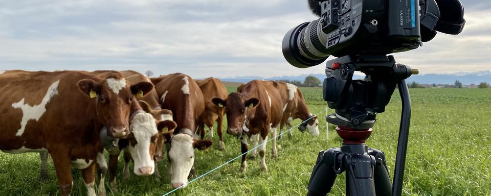 "Une Suisse, deux époques", une série de documentaires réalisée par le journaliste Simon Gabioud et coproduite par Le Temps et la RTS. [Simon Gabioud]