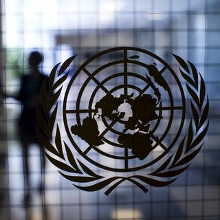 Comment Pékin a réussi à avoir une telle influence au sein de l'ONU? [Reuters - © Mike Segar]