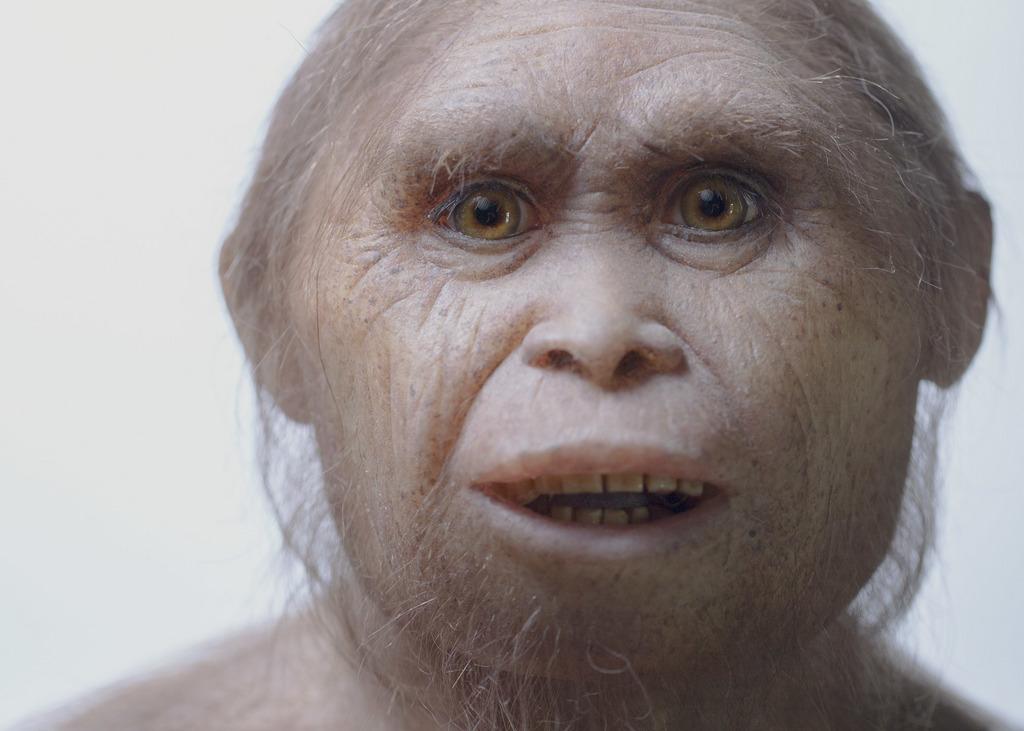 Une modélisation du visage d'un Homo floresiensis. [Keystone/AP - Kinez Riza]