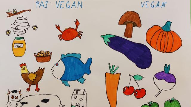 Végétarien.ne / Vegan. [Maïwenn]