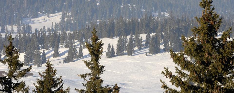 Forêt recouverte de neige dans la Vallée de Joux (image d'illustration). [Keystone - Laurent Gilliéron]