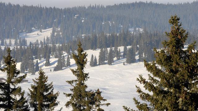 Forêt recouverte de neige dans la Vallée de Joux (image d'illustration). [Keystone - Laurent Gilliéron]