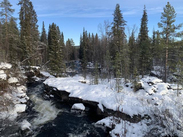 La nature autour de Kiruna [F.B.]