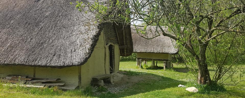 La Grande Cariçaie: une histoire humaine ancienne. [DR]