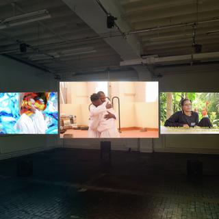 Vue de l'exposition "Lemaniana, reflets d'autres scènes" au Centre d'Art Contemporain de Genève. [Centre d'Art Contemporain Genève - Mathilda Olmi]