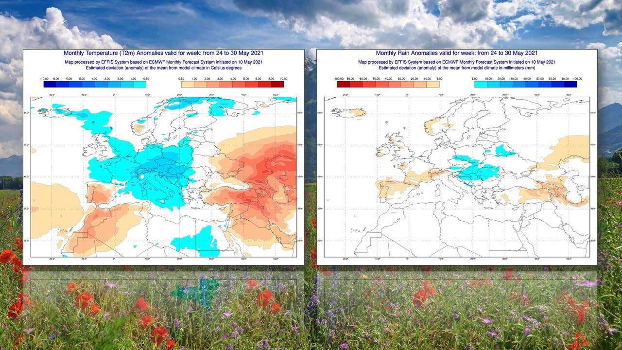 Anomalies de températures (à gauche) et de précipitations (à droite) prévues par le centre européen (ECMWF) du 24 au 30 mai 2021 [ECMWF - Guy Rouiller]