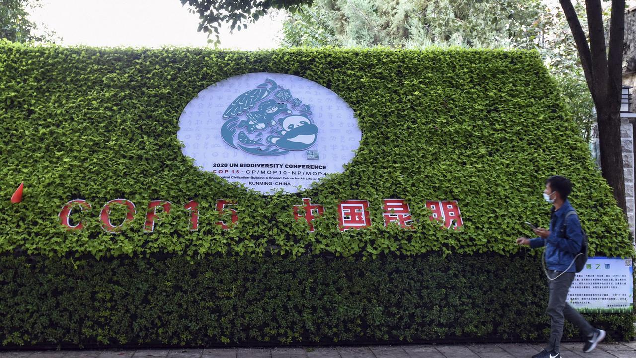 La déclaration de Kunming sur la biodiversité devra être suivie d'actions fortes. [AP - Chinatopix]