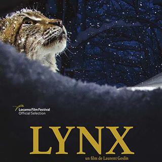 L'affiche du long-métrage "Lynx", un film de Laurent Geslin. [festival-salamandre.org - dr]