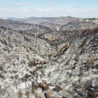 Une vue des collines près de Jérusalem où la forêt et le maquis ont été détruits par un important incendie, le 19 août 2021. [EPA/Keystone - Abir Sultan]