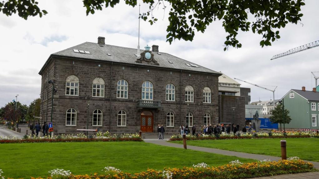 Le bâtiment du Parlement islandais à Reykjavik. [AFP - Odd Andersen]