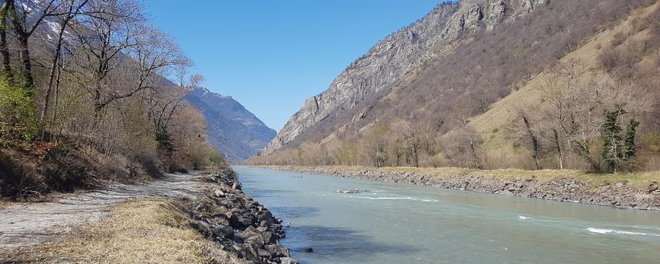 Rhône, Léman et écologie: faut-il "corriger" les grands fleuves? [DR]