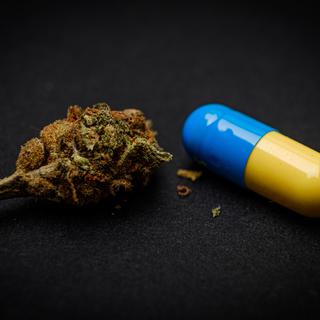 15 Minutes: Cannabis thérapeutique, un médicament comme les autres? [AFP - Ugo Padovani / Hans Lucas]