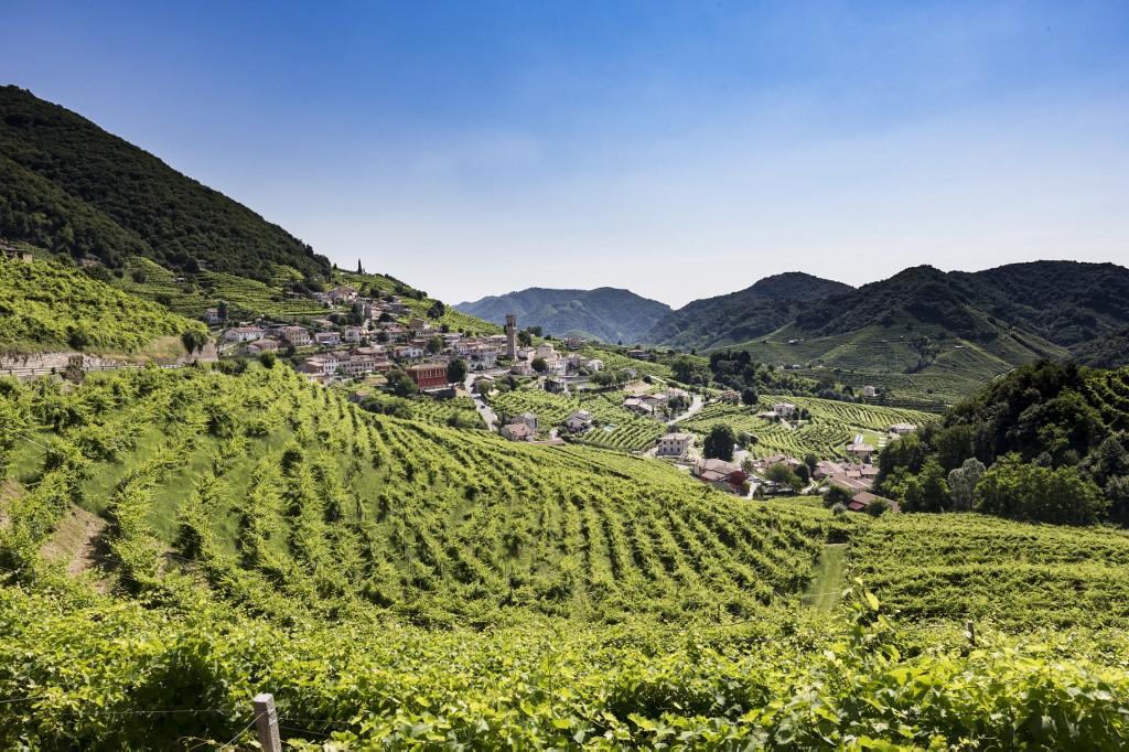 Les collines de Valdobbiadene, le berceau du prosecco. [afp - Marco Serena / NurPhoto]