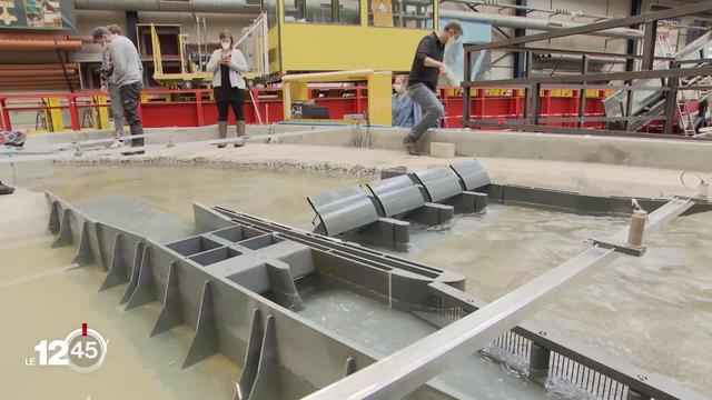 La maquette en test du futur barrage sur le Rhône dans le Chablais. [RTS - Une maquette à l’échelle XX de ce barrage hydroélectrique projeté dans le Chablais a été créée à l'EPFL pour permettre de s’assurer de la faisabilité du projet.

"Cette modélisation physique sert d'abord à réaliser le concept du barrage et de la centrale", explique Giovanni De Cesare, Directeur de la plateforme PCH-EPFL,
jeudi dans le 12h45 de la RTS. "Ensuite, il y a l'optimisation: il faut modifier un peu certains éléments pour que cela fonctionne mieux. Et à la fin, on fait des essais systématiques de tous les cas de charge imaginés - crues, bois flottant, niveaux bas comme niveaux hauts, et exploitation normale".

Reportage 12h45 29.04.2021]