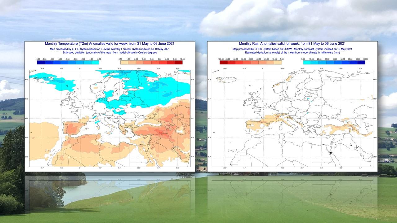 Anomalies de températures (à gauche) et de précipitations (à droite) prévues par le centre européen (ECMWF) du 31 mai au 6 juin 2021 [ECMWF - Matthieu Monney]