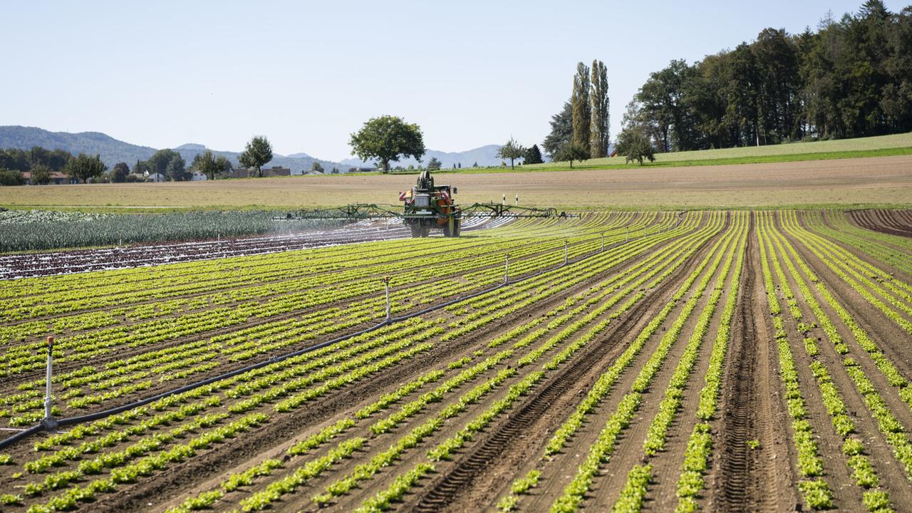 Un tracteur applique des pesticides sur un champ de laitues près de Birmenstorf (AG) le 17 septembre 2019. (image d'illustration) [Keystone - Christian Beutler]