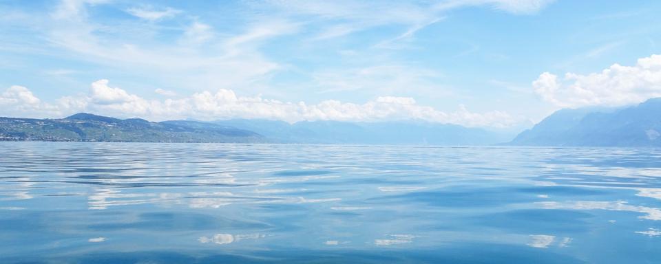 Rhône, Léman et écologie: quelles solutions face à la pollution? [ASL]