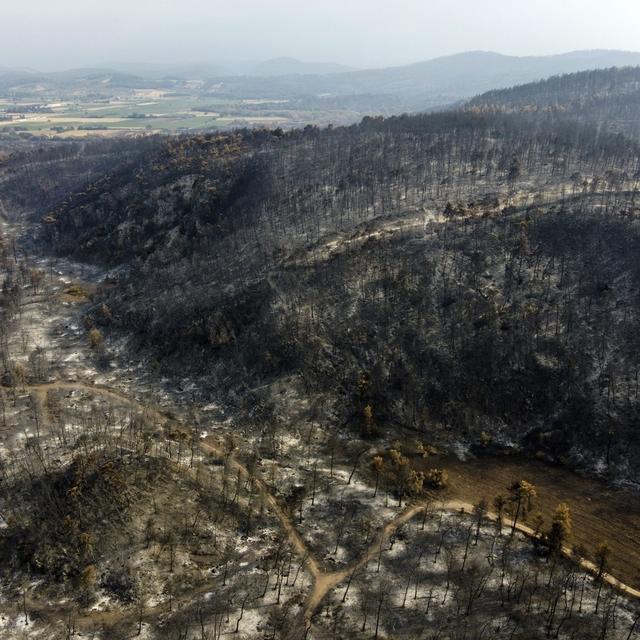 Une forêt brûlée sur l'île d'Eubée. [Keystone - AP Photo/Michael Varaklas]