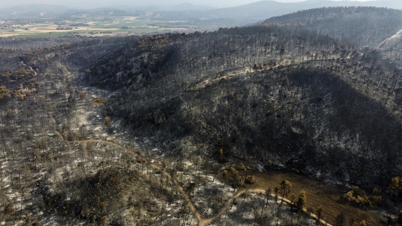 Une forêt brûlée sur l'île d'Eubée. [Keystone - AP Photo/Michael Varaklas]