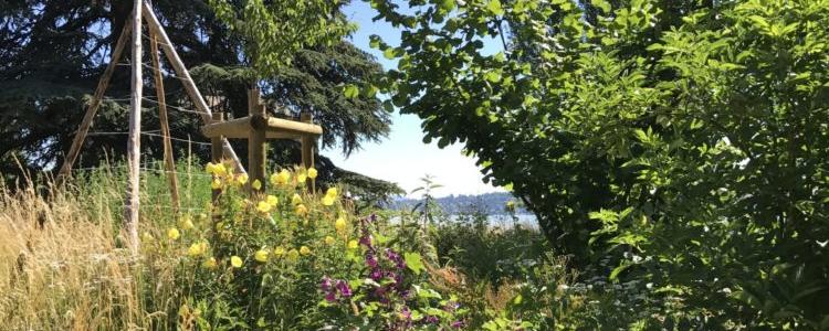 La forêt-jardin du parc de la Perle du Lac à Genève. [Association La Libellule (lalibellule.ch)]