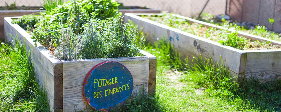 Agriculture urbaine: un contact avec les plantes dès le plus jeune âge. [TotUP]