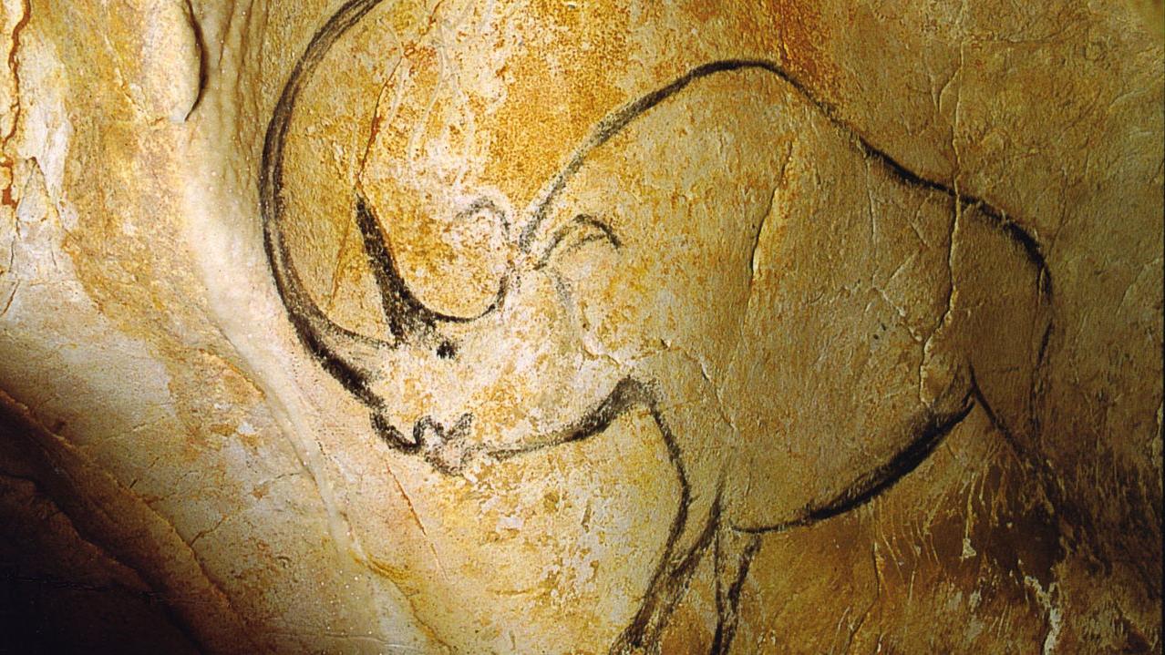 Une peinture de rhinocéros dans la Grotte Chauvet, Ardèche, France. [Domaine public - Inocybe / French Wikipédia]