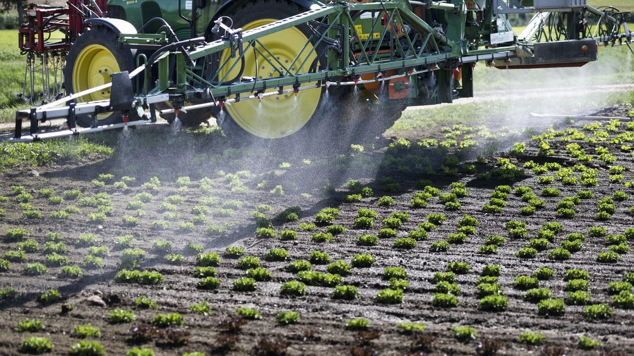 L'Allemagne va également "interdire de nombreux produits phytosanitaires" dans les zones naturelles protégées. [Keystone - Christian Beutler]
