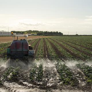 Un tracteur agricole pulvérise des plantes avec des produits chimiques et des pesticides. [depositphotos - deyangeorgiev2]
