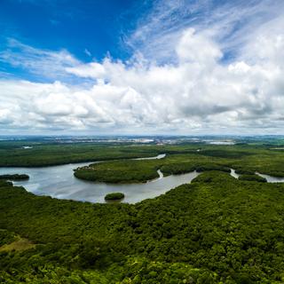 La forêt amazonienne n'est plus le "poumon" de la Terre.
gustavofrazao
Depositphotos [gustavofrazao]