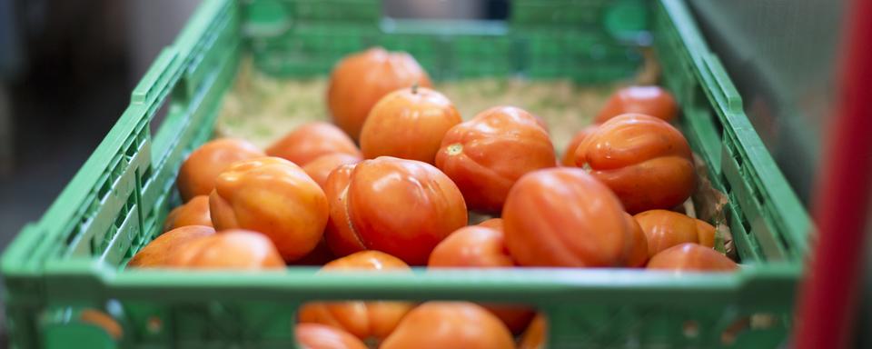 Des dizaines de tonnes de fruits et légumes ont été détruites ces derniers mois dans la région d'Yverdon-les-Bains. [Keystone - Gaetan Bally]