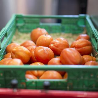 Des dizaines de tonnes de fruits et légumes ont été détruites ces derniers mois dans la région d'Yverdon-les-Bains. [Keystone - Gaetan Bally]