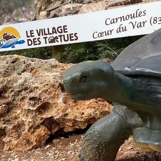 Le village des tortues à Carnoules dans le Var [RTS - Lucile Solari]